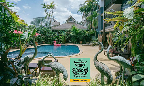 The Opium Chiang Mai